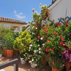 apartamentos-los-descalzos-angel.es-andalucia.com/